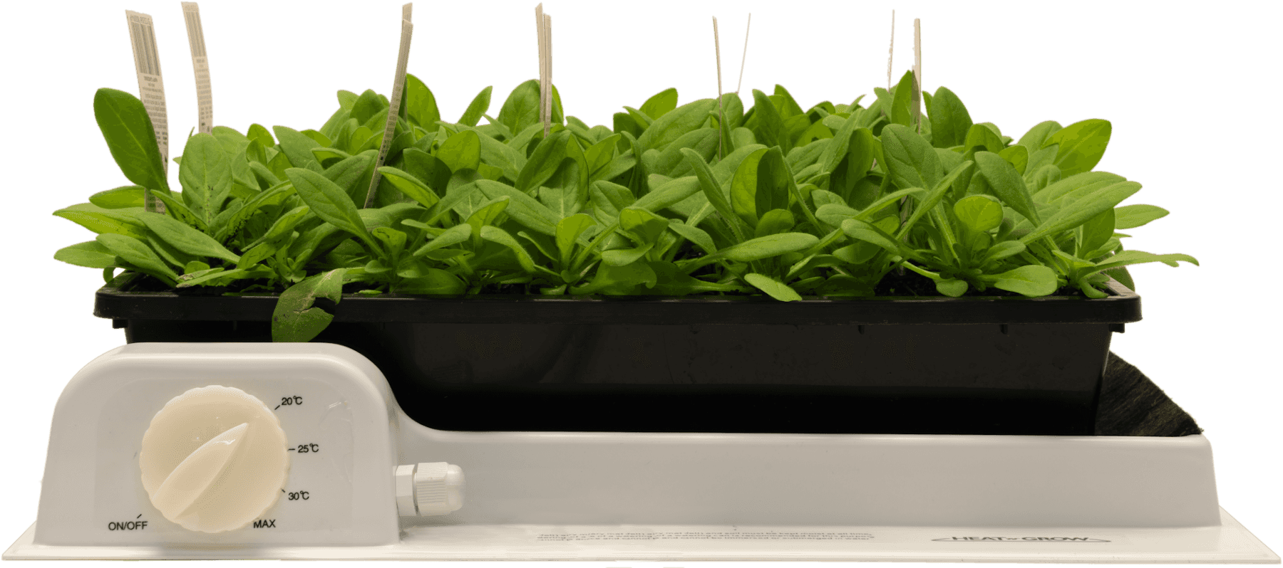 heat 'n' grow propagator