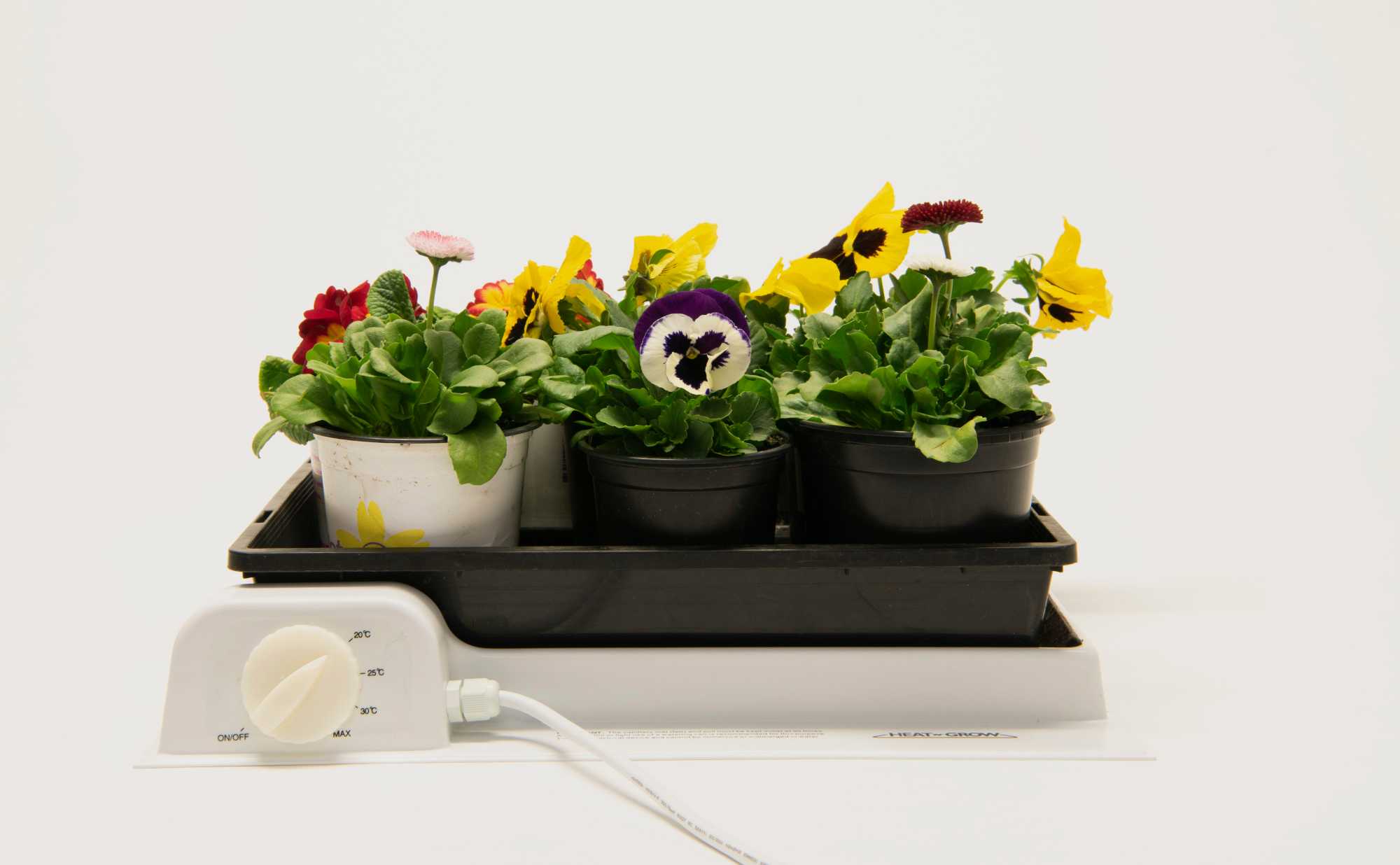 heat 'n' grow propagator with flowers