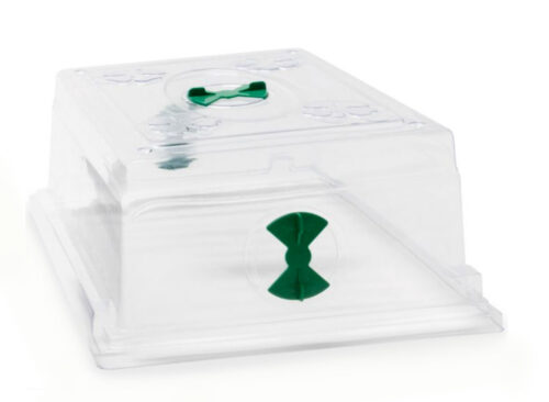Clear Dome Top