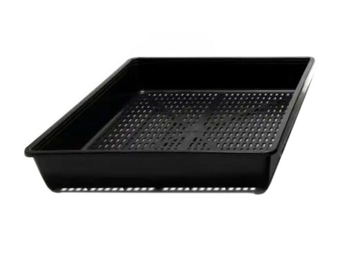 Seedling Tray with Holes