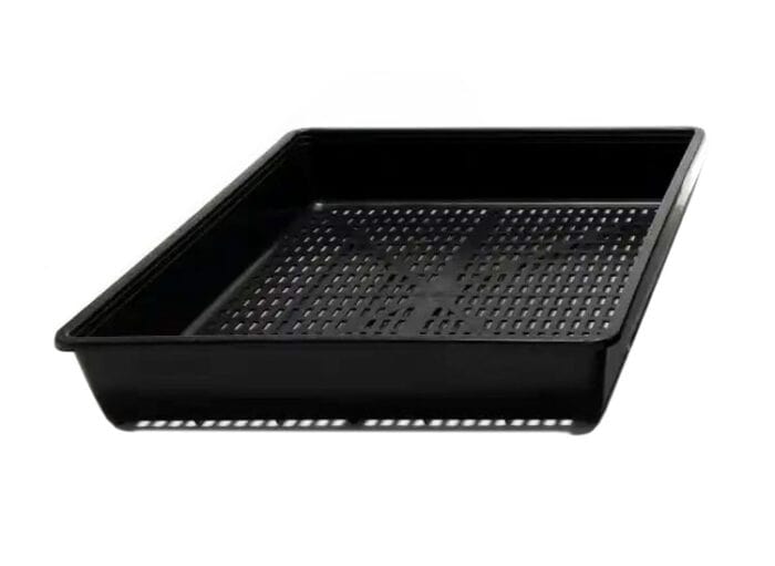 Seedling Tray with Holes
